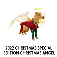 2022 Christmas Special Edition - Christmas Angel