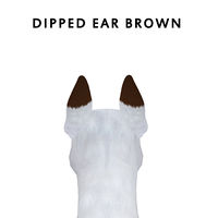 Dipped Ear Brown