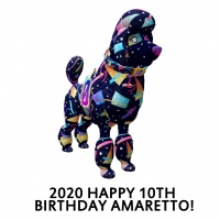 2020 Happy 10th Birthday Amaretto!