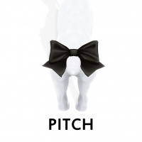 Pitch