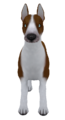 EnglishBullTerrierColoredChocolate.png