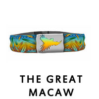 The Great Macaw Collar