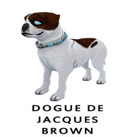 Dogue de Jacques Brown