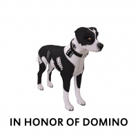 In Honor Of Domino