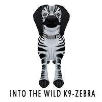 In to the Wild K-9 Zebra