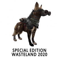 Wasteland 2020