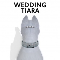 Wedding Tiara