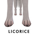 LICORICEPawPolish.jpg