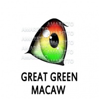 Great Green Macaw