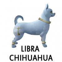 Libra Chihuahua