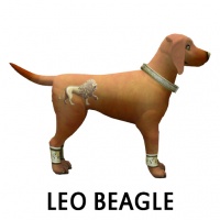 Leo Beagle