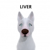 Liver Nose