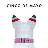 Cinco de Mayo