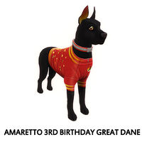 Amaretto 3rd Birthday Great Dane