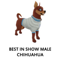 Best In Show Chihuahua Male