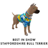 Best In Show Staffordshire Bull Terrier