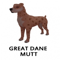 Great Dane Mutt