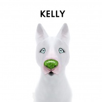 Kelly