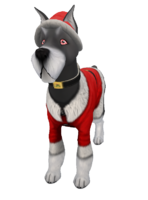 Amaretto Special Edition K9- Santa Paws