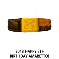 Happy 8th Birthday Amaretto!