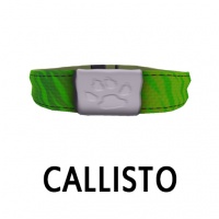 Callisto Collar