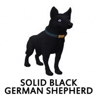 Solid Black German Shepherd