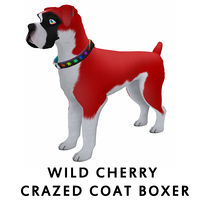 Wild Cherry Crazed Coat Boxer