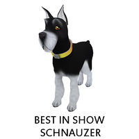 Best in Show Schnauzer