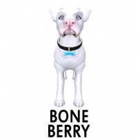 Bone - Berry