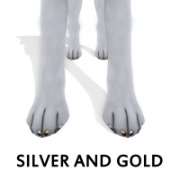 Silver and Gold Paw Polish