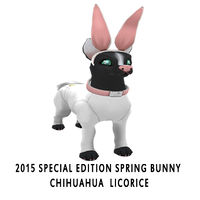 2015 Special Edition Spring Bunny Chihuahua Licorice