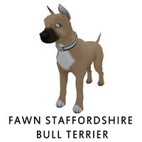 Fawn Staffordshire Bull Terrier