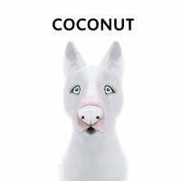 Coconut Nose