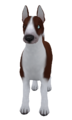 EnglishBullTerrierColoredMahogany.png