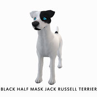 Black Half Mask Jack Russell Terrier